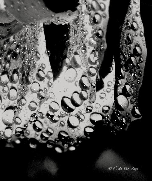 Que la vie pétille de lumière